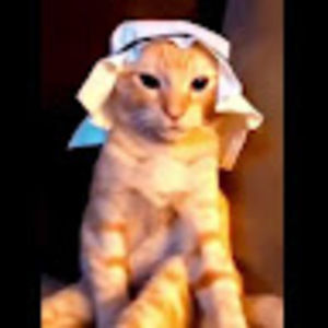 Meet your Posher, Tyler